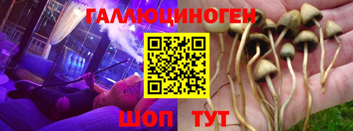 Псилоцибиновые грибы Magic Shrooms  Галлюциногенные грибы мицелий  Вход с VPN  Уссурийск 